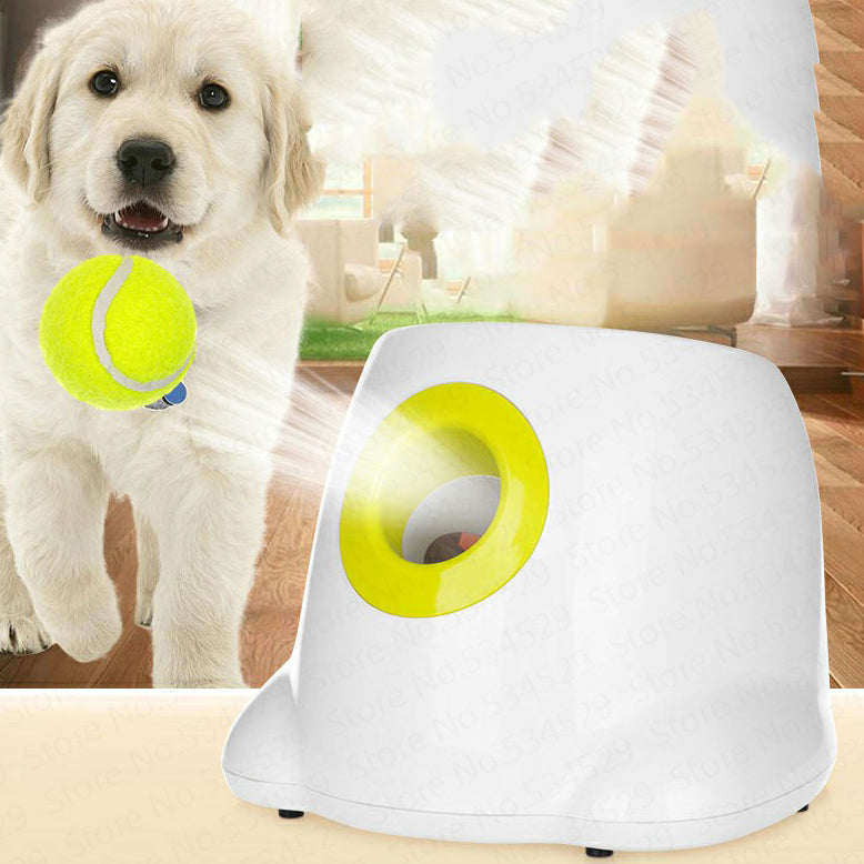 Interactive Ball Launcher