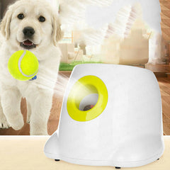 Interactive Ball Launcher