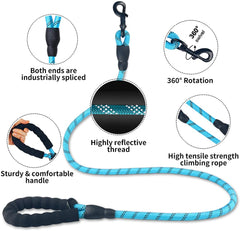 Luminous Reflective Dog Leash