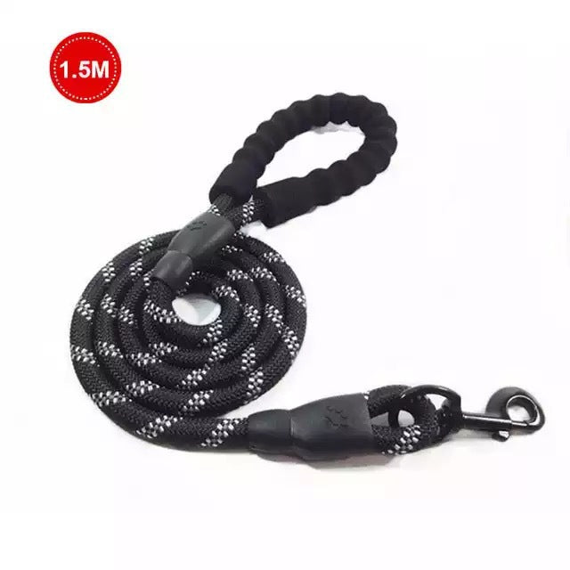 Luminous Reflective Dog Leash