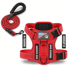 Dog Leash & Harness