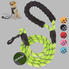 Luminous Reflective Dog Leash