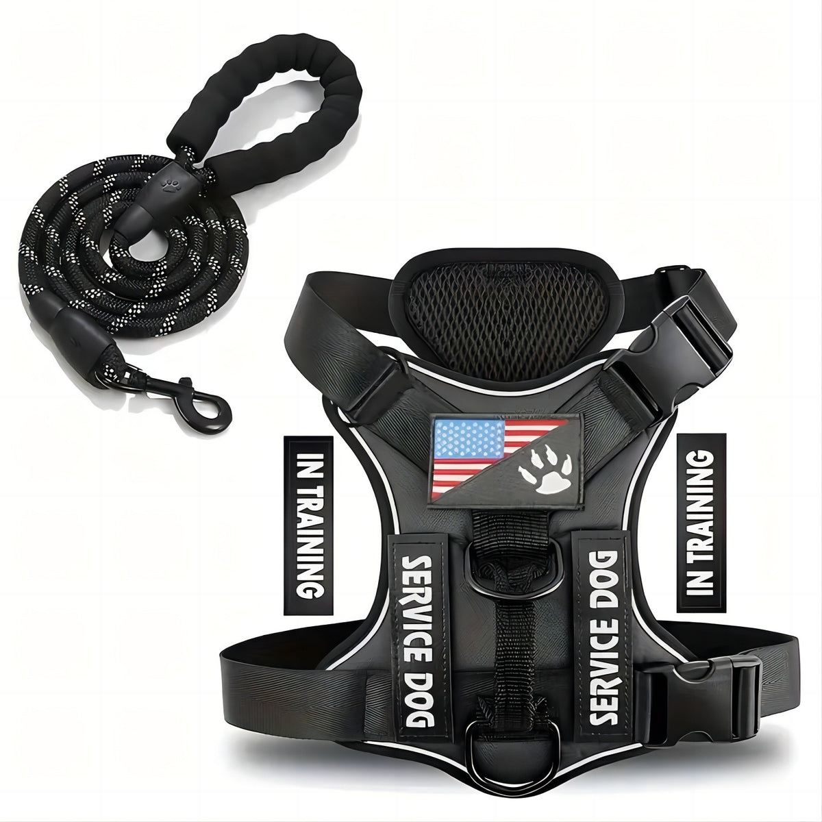 Dog Leash & Harness